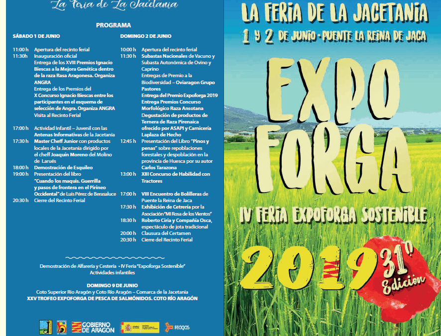 Programa Expoforga 2019