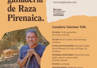 Cartel Visita Ganadería Raza Pirenaica