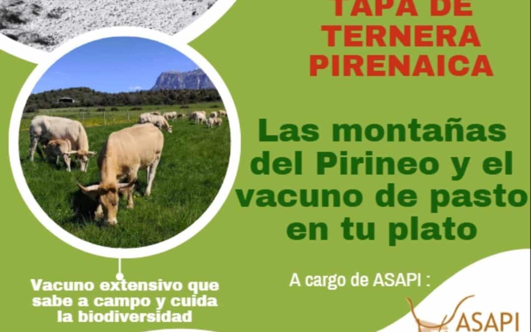 CASTILLAZUELO Campaña Medioambiental DPH