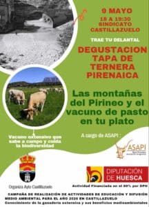 CAMPAÑA MEDIOAMBIENTAL CASTILLAZUELO
