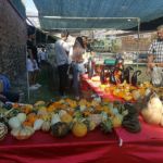 Expoferia 2019 ASAPI