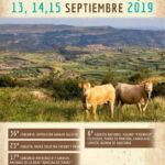 Feria Ganadera Cantavieja Asapi