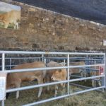 Expoferia 2019 ASAPI