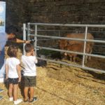 Expoferia 2019 ASAPI