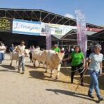 Femoga 2019 Asapi