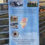 Ferieta 2019 ASAPI
