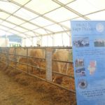 Expoforga 2019 ASAPI