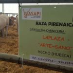 Expoforga 2019 ASAPI