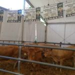 Expoforga 2019 ASAPI