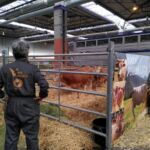 FIGAN 2023 ASAPI Raza Pirenaica FIGAN 2023 ASAPI Raza Pirenaica