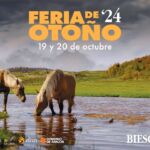 ASAPI RAZA PIRENAICA FERIA OTOÑO BIESCAS 2024 ASAPI RAZA PIRENAICA FERIA OTOÑO BIESCAS 2024